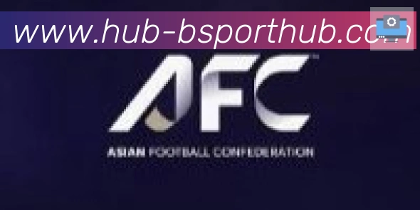 Bsports官网合作伙伴